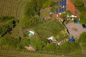 Vignoble Bioland sous le toit en herbe du domaine Marzolph à le quartier Wollmesheim in Landau in der Pfalz dans le département Rhénanie-Palatinat, Allemagne d'un drone
