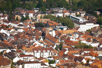 Vue aérienne de Église collégiale évangélique à Landau in der Pfalz dans le département Rhénanie-Palatinat, Allemagne