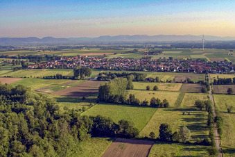 Vue aérienne de Ville du sud à Minfeld dans le département Rhénanie-Palatinat, Allemagne