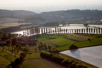 Vue aérienne de Rangée d'arbres le long d'une route de campagne au bord d'un champ dans le quartier de Thomashof, Hohenwettersbach à le quartier Hohenwettersbach in Karlsruhe dans le département Bade-Wurtemberg, Allemagne