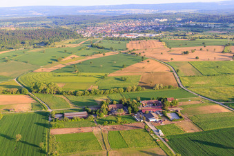 Vue aérienne de Écurie à Steinig à le quartier Langensteinbach in Karlsbad dans le département Bade-Wurtemberg, Allemagne