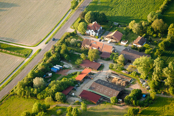 Vue aérienne de Magasin de la ferme Hedwigshof à Ettlingen dans le département Bade-Wurtemberg, Allemagne