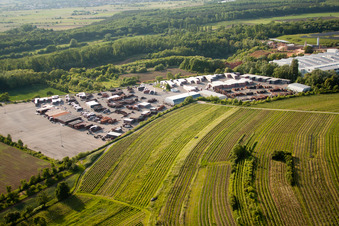 Vue aérienne de Installations techniques dans la zone industrielle WIENERBERGER MALSCH dans le quartier de Rot à Malsch dans le département Bade-Wurtemberg, Allemagne