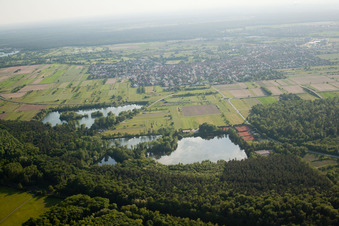 Vue aérienne de Lac de pêche à le quartier Rot in St. Leon-Rot dans le département Bade-Wurtemberg, Allemagne