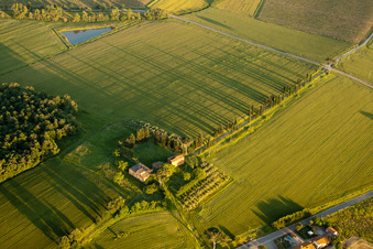 Vue aérienne de Structures herbeuses d'un paysage de champ avec de longues ombres de l'allée de cyprès de l'ancienne ferme Az. Agr. San Luciano à Monte San Savino dans le département Arezzo, Italie