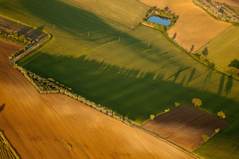 Vue aérienne de Coucher de soleil sur le paysage champêtre à Monte San Savino dans le département Arezzo, Italie