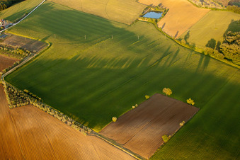 Vue aérienne de Montagnano dans le département Toscane, Italie