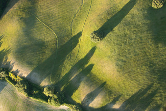 Vue aérienne de Structures de prairies d'un paysage de champs et de prairies avec ombre d'arbres dans le district de Località Il Colle à Trequanda dans le département Siena, Italie
