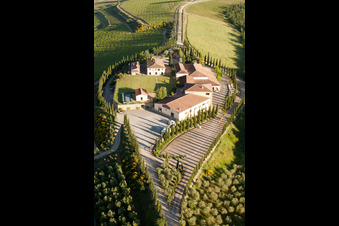 Vue aérienne de Ferme avec allées de cyprès à Caparzo à Montalcino dans le département Siena, Italie