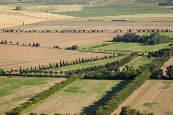Vue aérienne de Montepescali dans le département Toscane, Italie