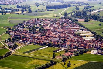Vue aérienne de Vue du village depuis l'ouest à Neupotz dans le département Rhénanie-Palatinat, Allemagne