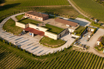 Vue oblique de Valiano dans le département Toscane, Italie