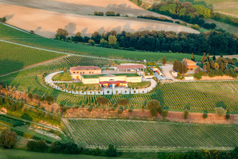 Vue aérienne de Ferme viticole Avignonesi, Via della Lodola à Montepulciano dans le département Siena, Italie