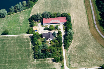 Seehof (labyrinthe de maïs) à Leimersheim dans le département Rhénanie-Palatinat, Allemagne d'en haut