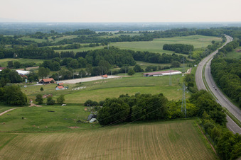 Image drone de Haras de la Neée à Neewiller-près-Lauterbourg dans le département Bas Rhin, France