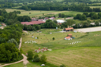 Haras de la Neée à Neewiller-près-Lauterbourg dans le département Bas Rhin, France du point de vue du drone