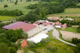 Haras de la Neée à Neewiller-près-Lauterbourg dans le département Bas Rhin, France hors des airs