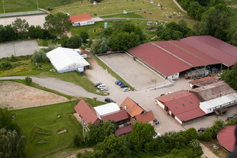 Haras de la Neée à Neewiller-près-Lauterbourg dans le département Bas Rhin, France depuis l'avion