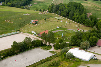 Haras de la Neée à Neewiller-près-Lauterbourg dans le département Bas Rhin, France vue du ciel