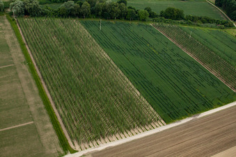 Vue oblique de Dalhunden dans le département Bas Rhin, France