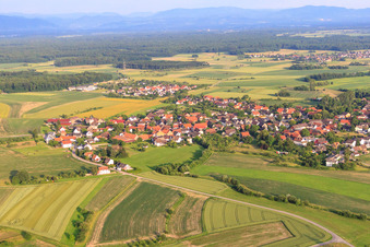 Vue aérienne de Vue du village depuis le nord-ouest à le quartier Linx in Rheinau dans le département Bade-Wurtemberg, Allemagne