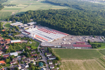 Vue aérienne de Locaux de l'usine WeberHaus GmbH & Co. KG à le quartier Linx in Rheinau dans le département Bade-Wurtemberg, Allemagne
