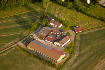 Vue aérienne de Haras de Kaiserhof à le quartier Legelshurst in Willstätt dans le département Bade-Wurtemberg, Allemagne