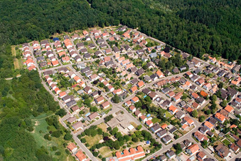Vue aérienne de Waldäckerstr à Jockgrim dans le département Rhénanie-Palatinat, Allemagne