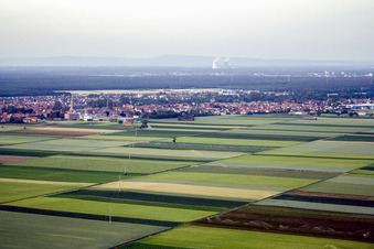 Vue oblique de Vue des rues et des maisons dans les quartiers résidentiels à Bellheim dans le département Rhénanie-Palatinat, Allemagne
