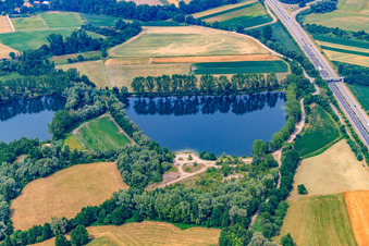 Vue aérienne de Lac de carrière sur la B9 à Rheinzabern dans le département Rhénanie-Palatinat, Allemagne