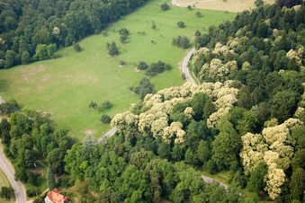 Vue aérienne de Speyererhofweg à le quartier Königstuhl in Heidelberg dans le département Bade-Wurtemberg, Allemagne