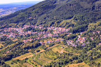 Vue aérienne de À Dieterswald à Dannenfels dans le département Rhénanie-Palatinat, Allemagne