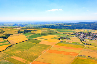 Vue aérienne de Parc éolien au-dessus de Grünstadt à Tiefenthal dans le département Rhénanie-Palatinat, Allemagne