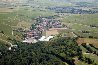 Vue aérienne de De l'ouest à Kleinkarlbach dans le département Rhénanie-Palatinat, Allemagne