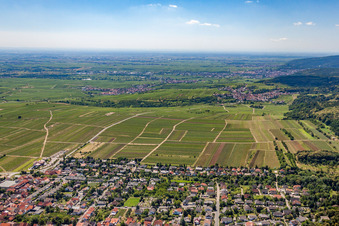 Vue aérienne de Weisenheim am Berg et Leistadt à le quartier Leistadt in Bad Dürkheim dans le département Rhénanie-Palatinat, Allemagne