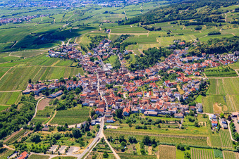 Vue aérienne de Champs agricoles et terres agricoles à le quartier Leistadt in Bad Dürkheim dans le département Rhénanie-Palatinat, Allemagne