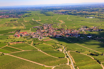 Vue aérienne de Village viticole entre les vignes de l'ouest à Kallstadt dans le département Rhénanie-Palatinat, Allemagne