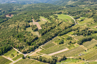 Vue aérienne de Vignobles à Kallstadt dans le département Rhénanie-Palatinat, Allemagne