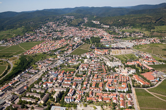 Vue aérienne de Triftweg à le quartier Pfeffingen in Bad Dürkheim dans le département Rhénanie-Palatinat, Allemagne