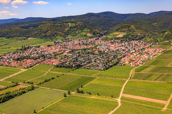 Vue aérienne de Village viticole entre les vignobles du nord-est à Wachenheim an der Weinstraße dans le département Rhénanie-Palatinat, Allemagne