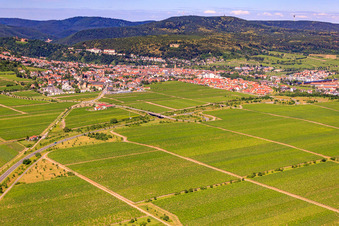 Vue aérienne de Village viticole entre les vignobles du sud-est à Wachenheim an der Weinstraße dans le département Rhénanie-Palatinat, Allemagne