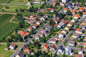 Vue aérienne de Rue de la gare à Wachenheim an der Weinstraße dans le département Rhénanie-Palatinat, Allemagne