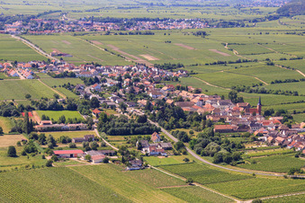 Vue aérienne de Village viticole sur la route des vins du Palatinat entre les vignobles du nord-est à Forst an der Weinstraße dans le département Rhénanie-Palatinat, Allemagne