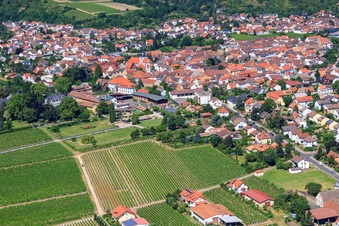 Vue oblique de Bâtiments et parcs du domaine viticole Dr. Bürklin-Wolf à Wachenheim an der Weinstraße dans le département Rhénanie-Palatinat, Allemagne