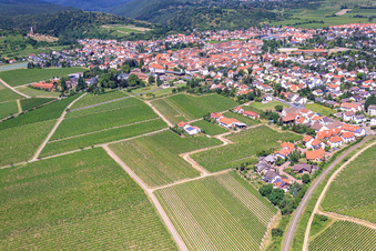 Bâtiments et parcs du domaine viticole Dr. Bürklin-Wolf à Wachenheim an der Weinstraße dans le département Rhénanie-Palatinat, Allemagne vue d'en haut