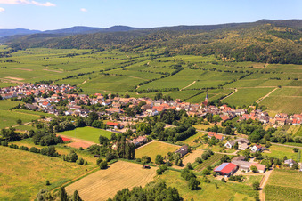Vue aérienne de Village viticole sur la route des vins du Palatinat entre les vignobles de l'est à Forst an der Weinstraße dans le département Rhénanie-Palatinat, Allemagne