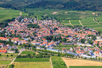 Vue aérienne de Ville viticole sur la route des vins du Palatinat entre les vignobles du nord-est à Deidesheim dans le département Rhénanie-Palatinat, Allemagne
