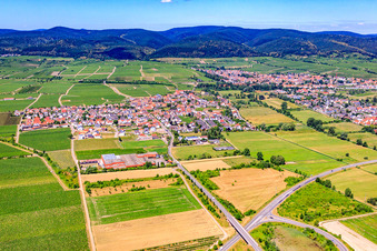 Vue aérienne de Village viticole entre les vignes du nord à Ruppertsberg dans le département Rhénanie-Palatinat, Allemagne