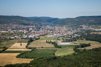 Vue aérienne de De l'est à Neustadt an der Weinstraße dans le département Rhénanie-Palatinat, Allemagne