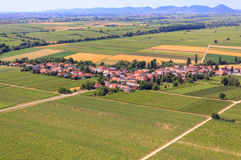 Vue aérienne de Vue du village depuis le nord-est à Kleinfischlingen dans le département Rhénanie-Palatinat, Allemagne